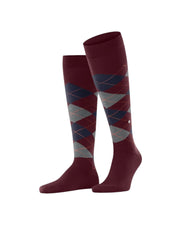 Calzini Uomo Blu/Bordeaux/Grigio