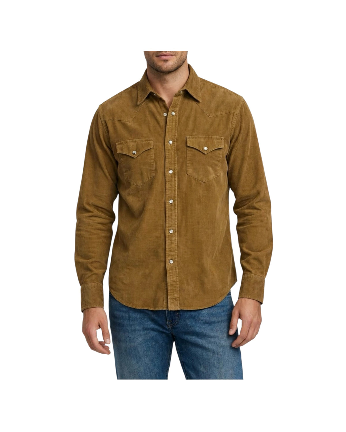 Camicia Western in velluto Tobacco WESTERN VELVET SHIRT FLAGSTAFF TOBACCO CHESAPEAKE'S 