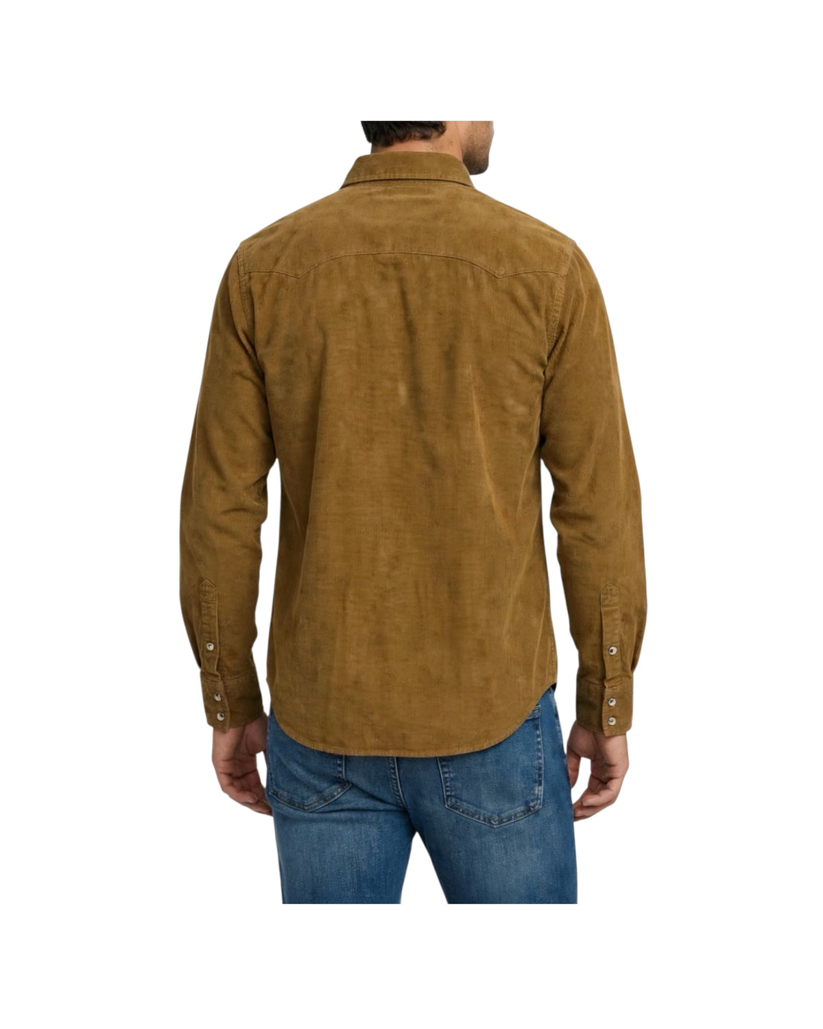 Camicia Western in velluto Tobacco WESTERN VELVET SHIRT FLAGSTAFF TOBACCO CHESAPEAKE'S 