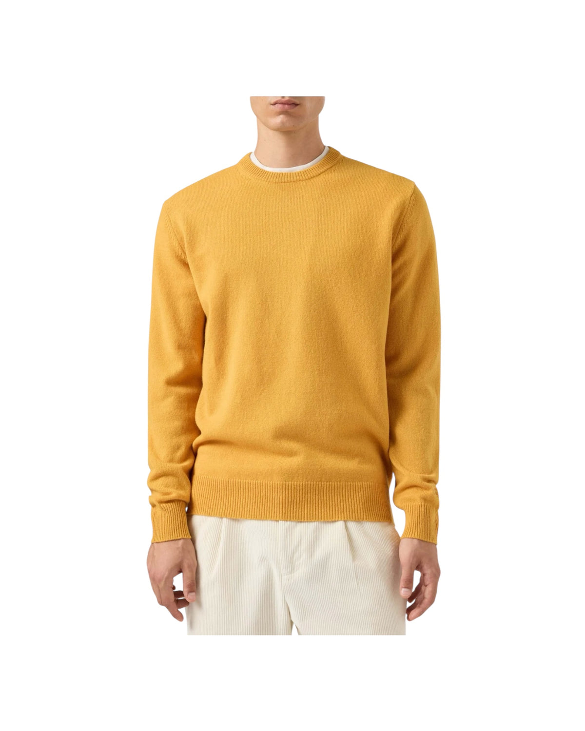 Magliore in lambswool Mustard REGE011 00067M MC2 SAINT BARTH 