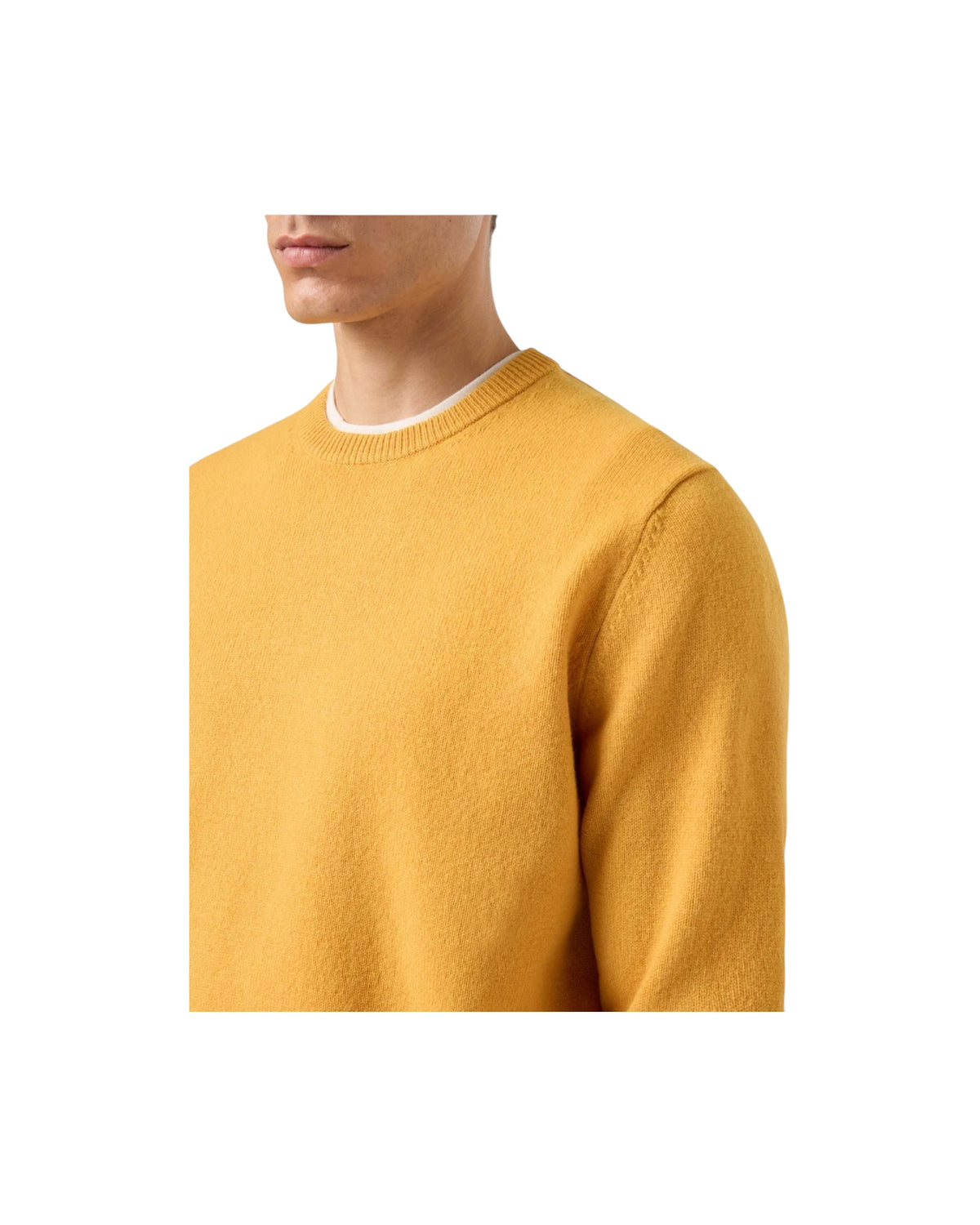Magliore in lambswool Mustard REGE011 00067M MC2 SAINT BARTH 