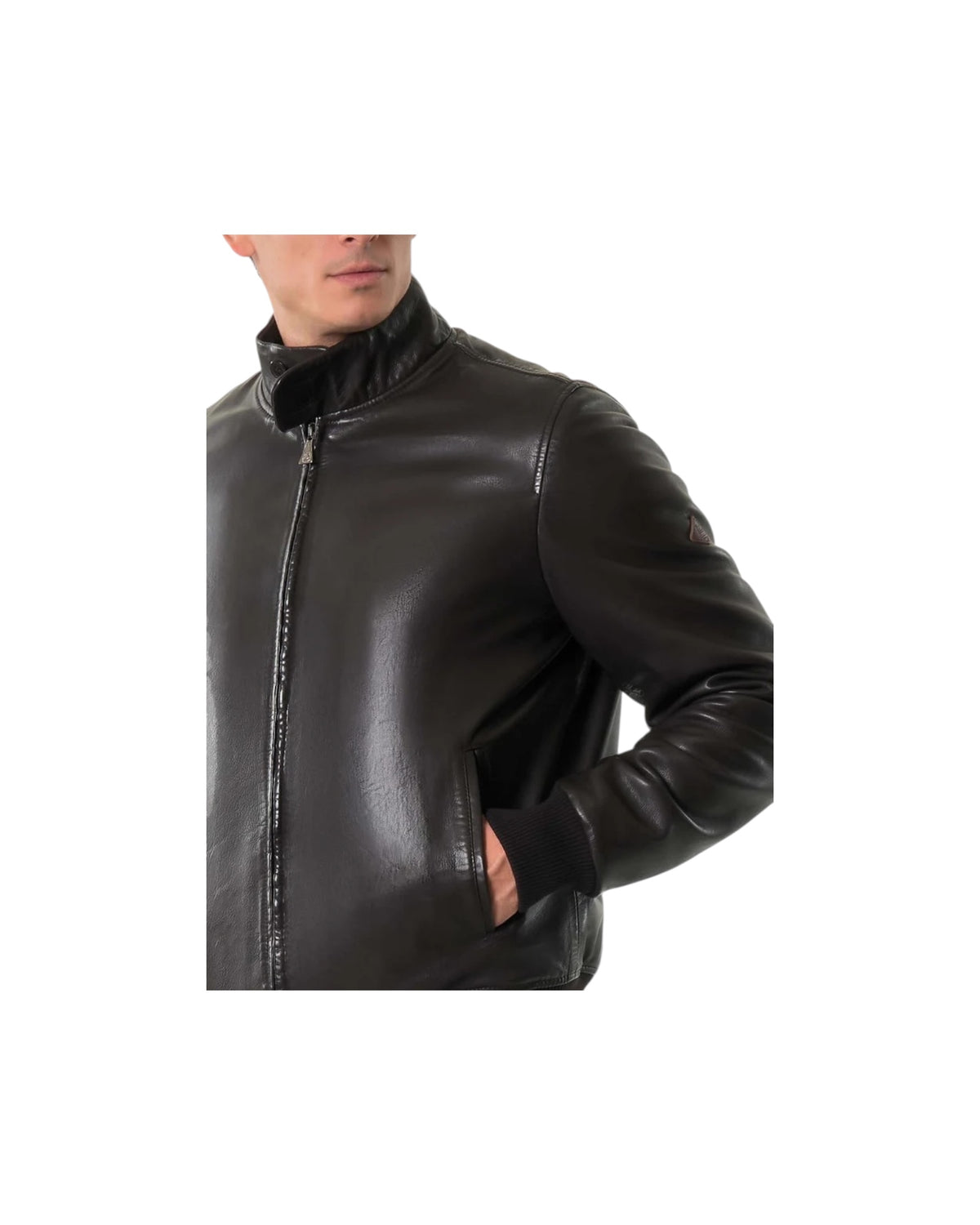 Giacca Barracuda in pelle Dark brown BARRACUDA PADDED LEATHER C0107 ROY ROGER'S 