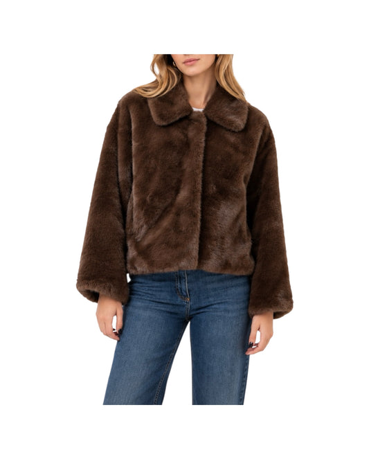 Eco pelliccia Brown FW26 131 BROWN SINCE'RE PARIS 