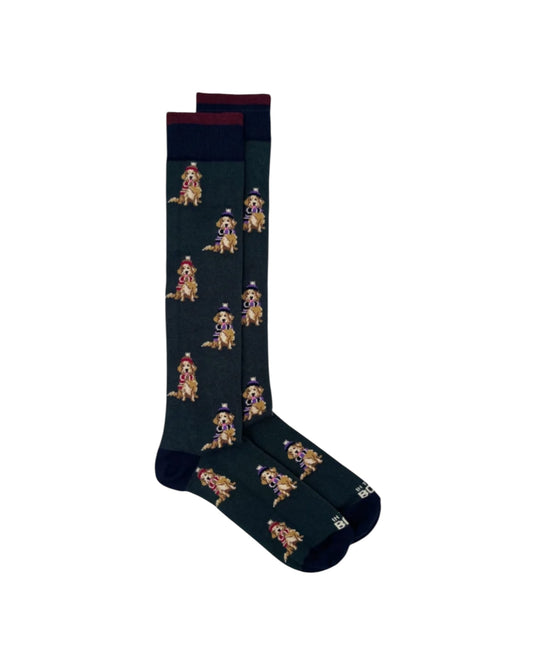Calzini Dog Golden Verde scuro DOG GOLDEN VERDE SCURO SOcs in the box 