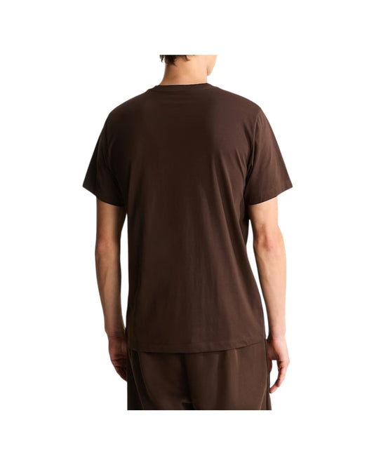 T-Shirt Simple Dome Dark chestnut EVOLUTION SIMPLE DOME REGULAR SHORT DARK CHESTNUT THE NORTH FACE 