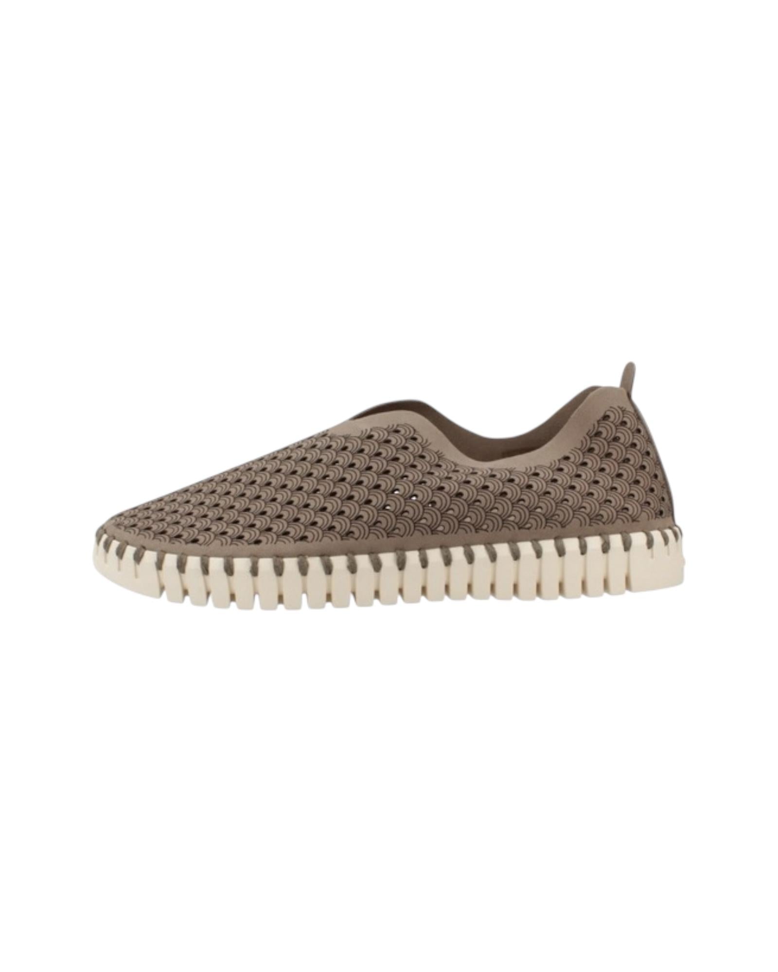 Tulip Flats Tortora TULIP3275 FALC232 ILSE JACOBSEN