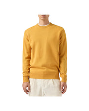 Magliore Regent in lambswool Mustard