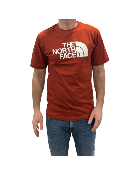 T-shirt Evolution Hal Dome Iron clay M EVO HLF DME IRON CLAY THE NORTH FACE 