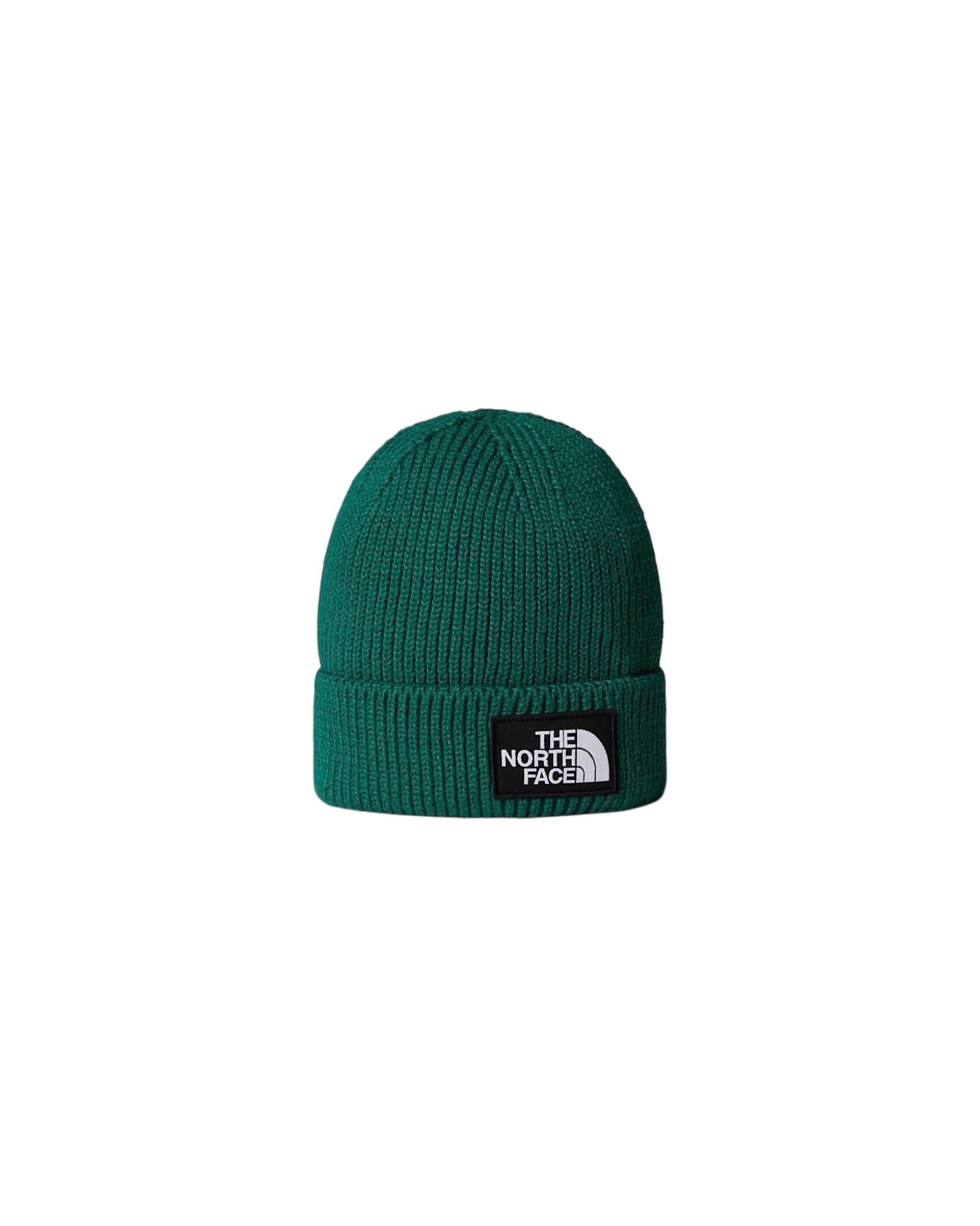 Berretto con risvolto e logo box TNF Evergreen NF0A8CHE EVERGREEN THE NORTH FACE 