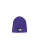 Berretto con risvolto e logo TNF Purple
