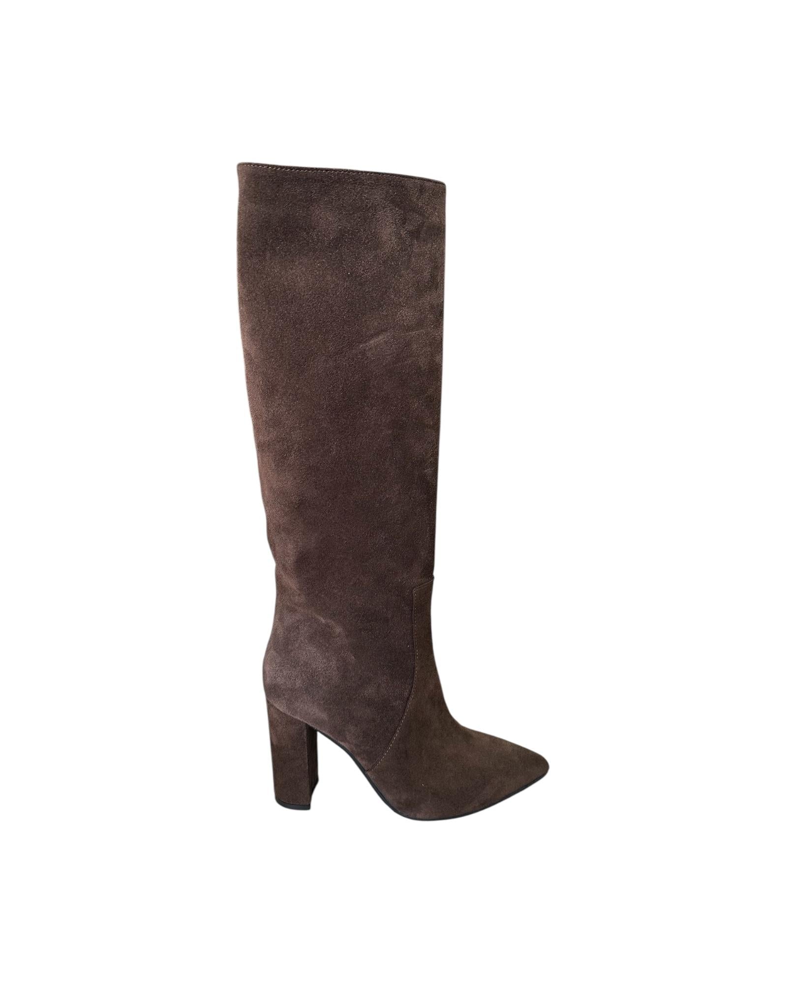 Stivale scamosciato testa di moro 2279 CAMOSCIO TDM Dreamer 