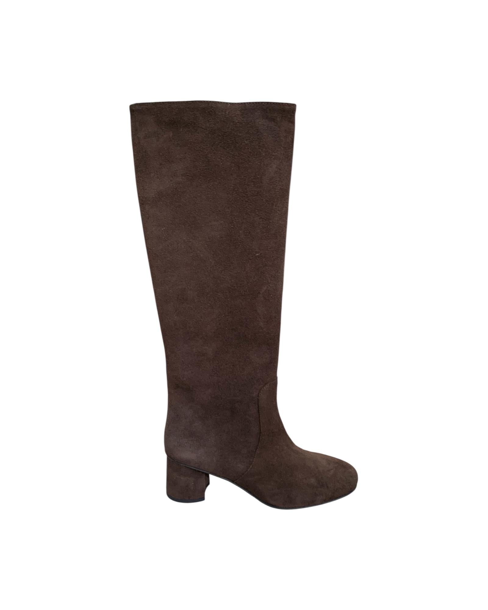 Stivale in pelle scamosciata Testa di moro 4200 CAMOSCIO TDM Dreamer