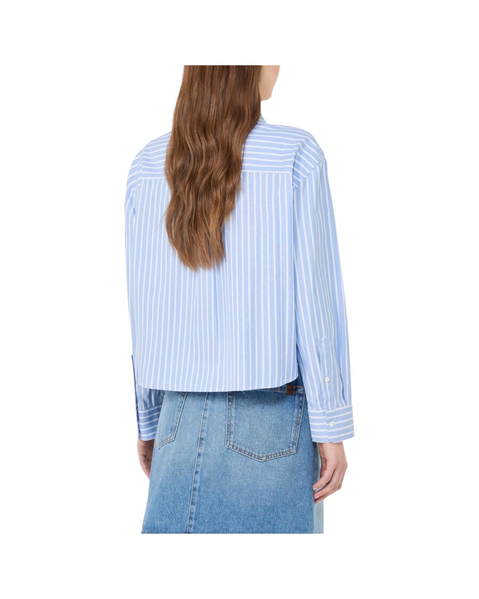 Camicia in oxford di cotone a righe Azzurro CARTONE 001 MAX MARA WEEKEND 