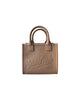 Borsa Mini Vanity Tortora