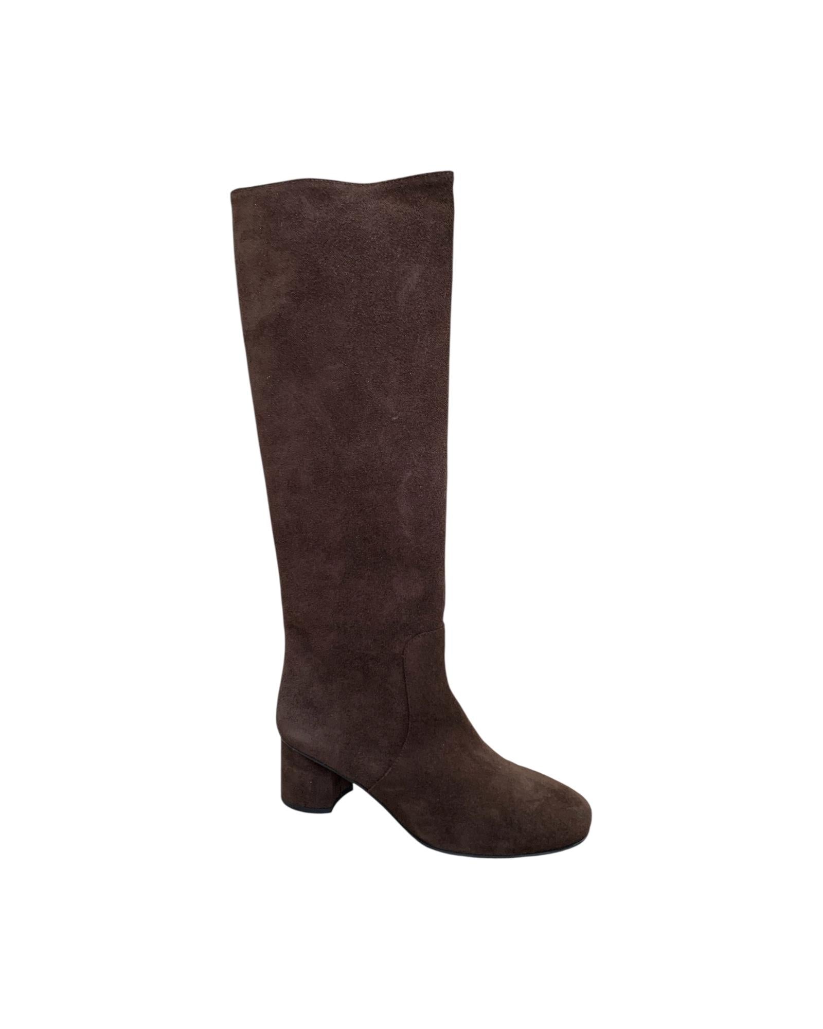 Stivale in pelle scamosciata Testa di moro 4200 CAMOSCIO TDM Dreamer 