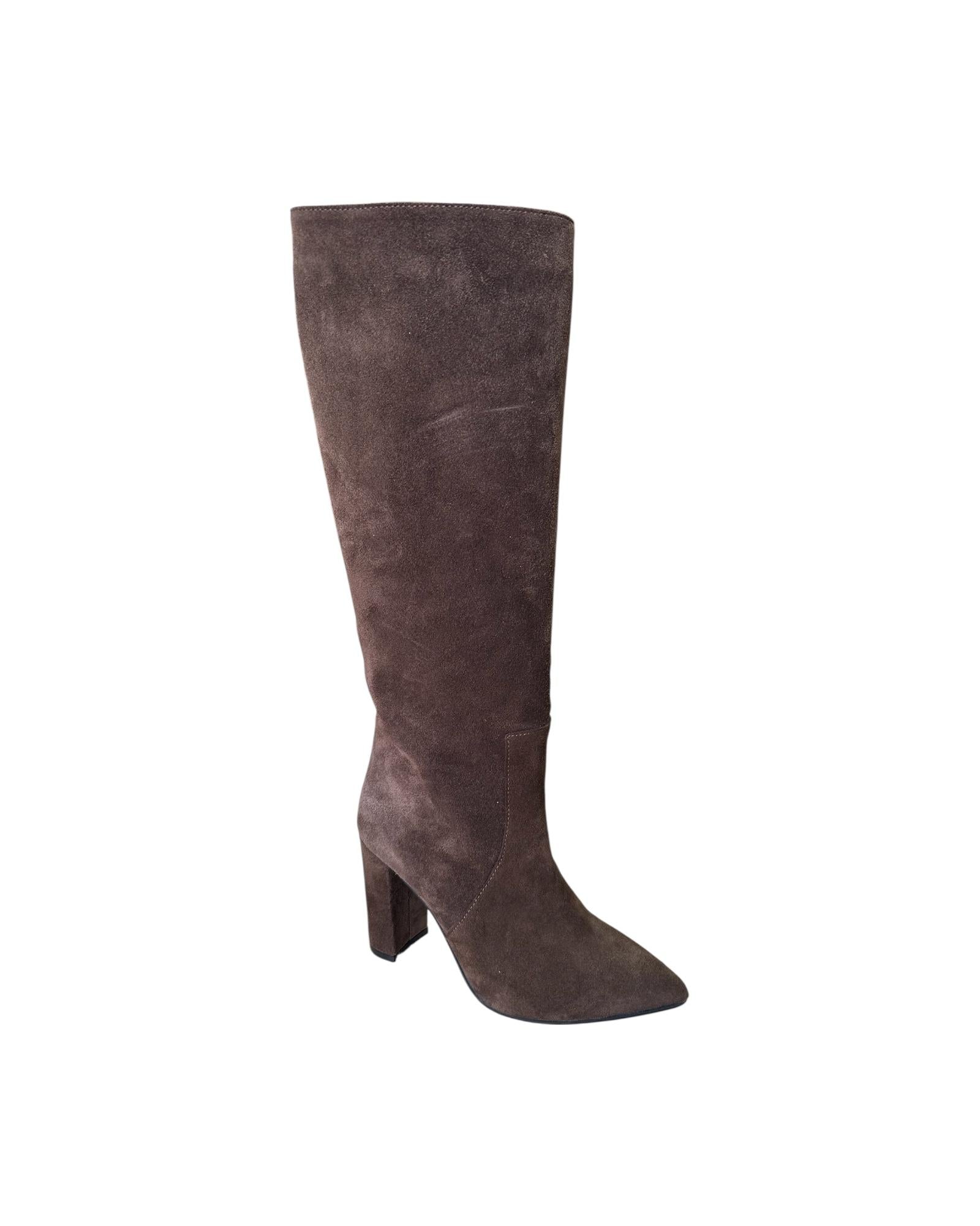 Stivale scamosciato testa di moro 2279 CAMOSCIO TDM Dreamer 